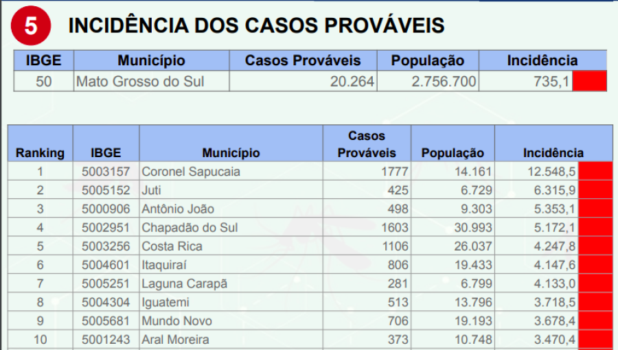 Imagem dengue 24